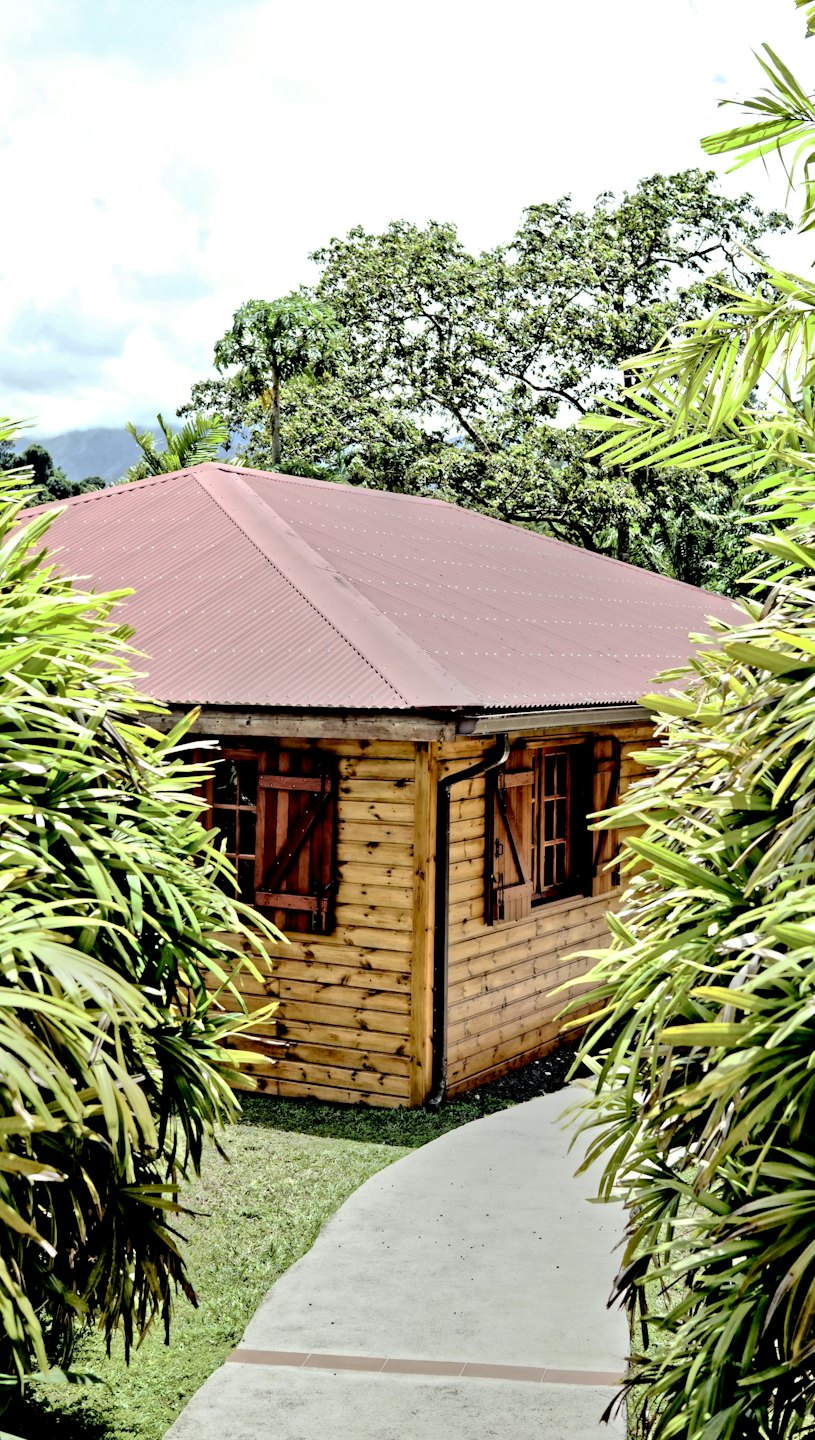 A wooden cabin with a metal roof sits among tropical plants.
